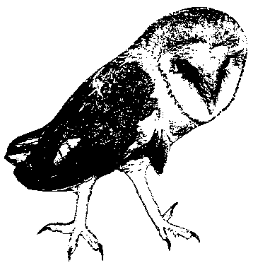 logo_AOPK logo